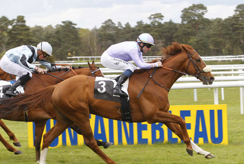 pronostic gratuit || pronostic gratuit turf || pronostic gratuit turfs